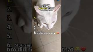 Download lagu Peringkat 6 Video Kucing Lucu Edisi Unik mp3