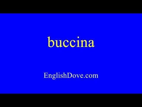 How to pronounce buccina in American English