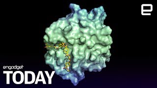 Scientists accidentally make plastic eating bacteria | Engadget Today