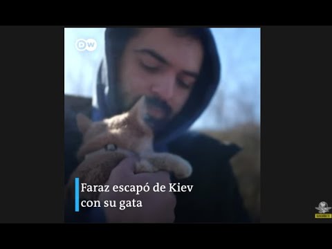 Ginger, la gata ucraniana refugiada