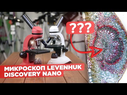 Смотрим в школьный микроскоп Levenhuk Discovery Nano | Обзор и тест