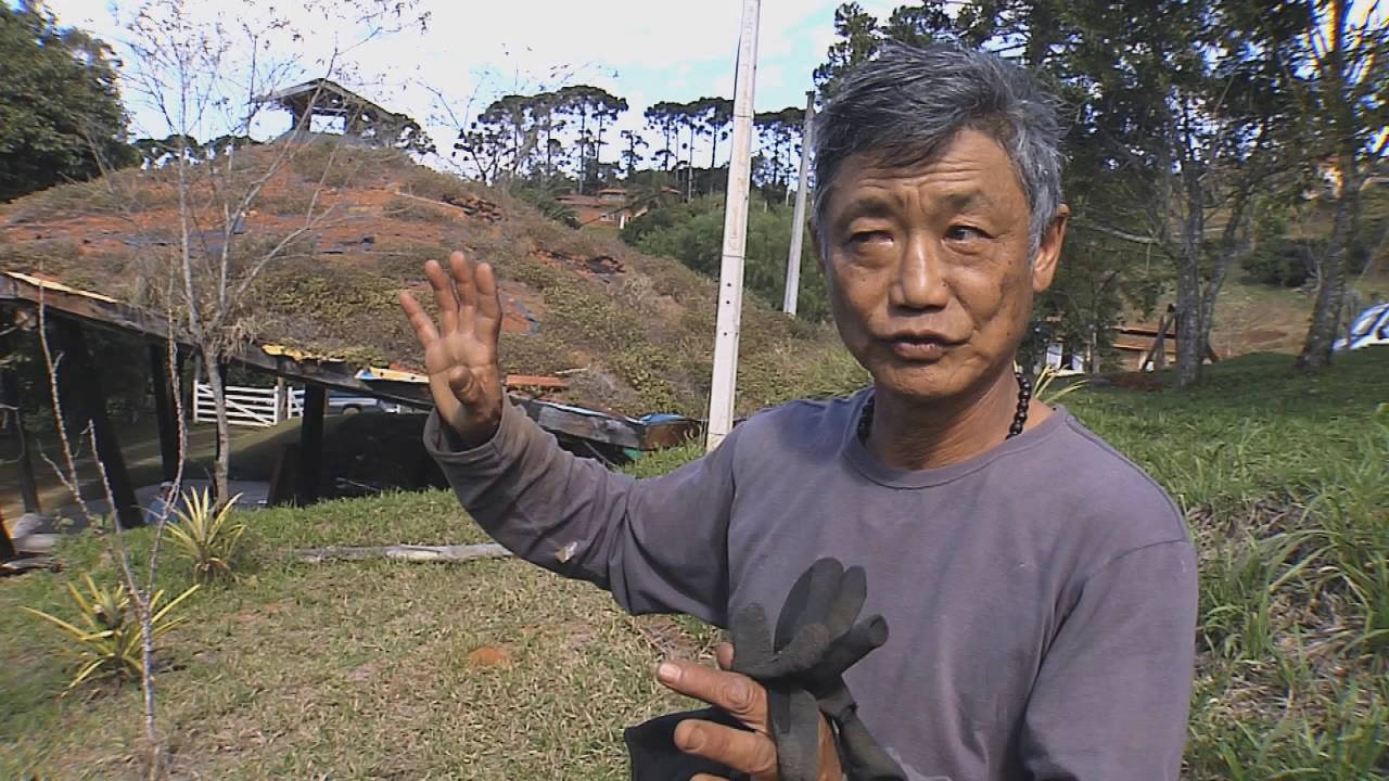 Arquitetura Sustentável - São Paulo Verde