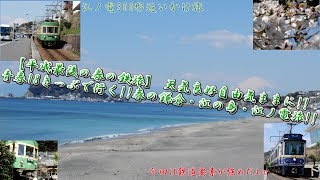 【平成最後の春の鉄旅】 天気良好自由気ままに！！ 青春18きっぷで行く！！ 春の鎌倉・江ノ電旅