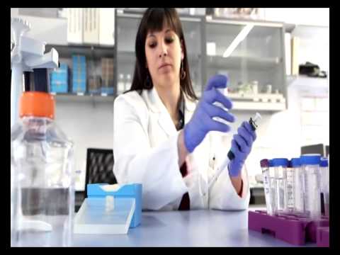Sintomi strappo del tendine dellanca Forum medicina osteocondrosi