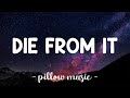 Die From It Sky Woods Lyrics