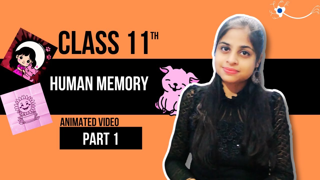 Human memory - Part 1 | Psychology Class 11 chapter 6 CBSE (2024-25)