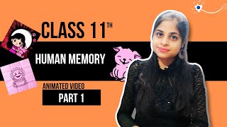 Human memory - Part 1 | Psychology Class 11 chapter 6 CBSE (2024-25)