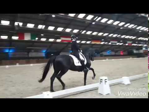 Millennium Prix St.George (Turnier Niederlande)