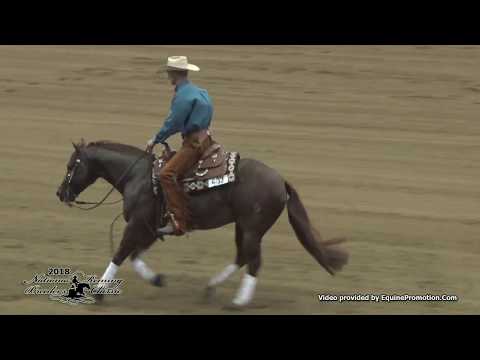 High Rolling Spook ridden by Nathan Piper  - 2018 NRBC (Sec. 1 Open Finals)