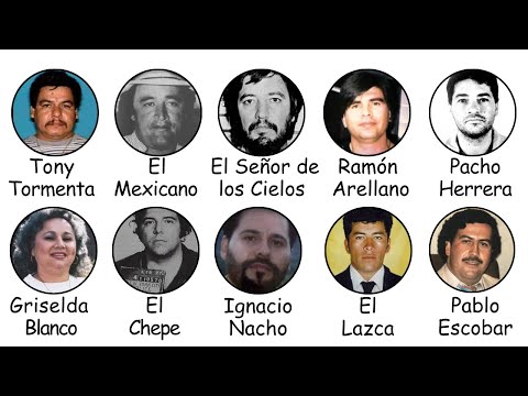 Como TODOS os CHEFES de CARTEL Morreram (Explicado em 15 Minutos)