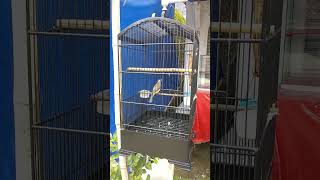 Download lagu Trucukan jatim mp3 Download lagu Trucukan jatim mp3