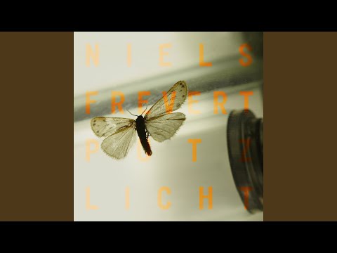 Wind In Deinem Haar - Niels Frevert
