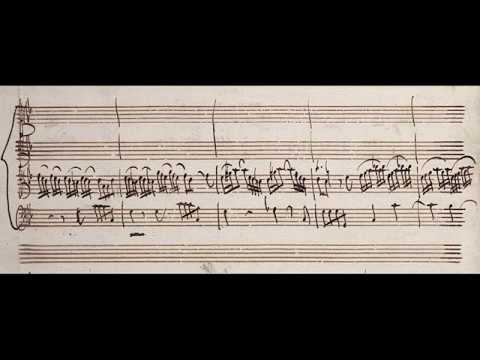 VIVALDI | Concerto per Violoncello | RV 401 in C minor | Original manuscript