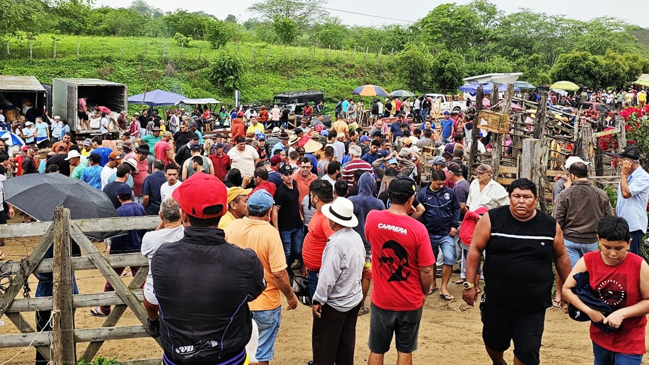 A FEIRA DOS CAMARADAS EM CUMARU-PE ATRAI CENTENAS DE PESSOAS.