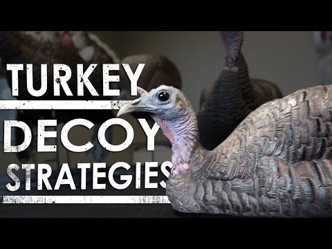 Turkey Decoy Setup & Placement Tips | The Sticks Outfitter