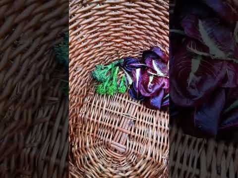 Come faccio io la spesa