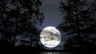 Download lagu JANIO E JUNIOR - EU E A LUA mp3