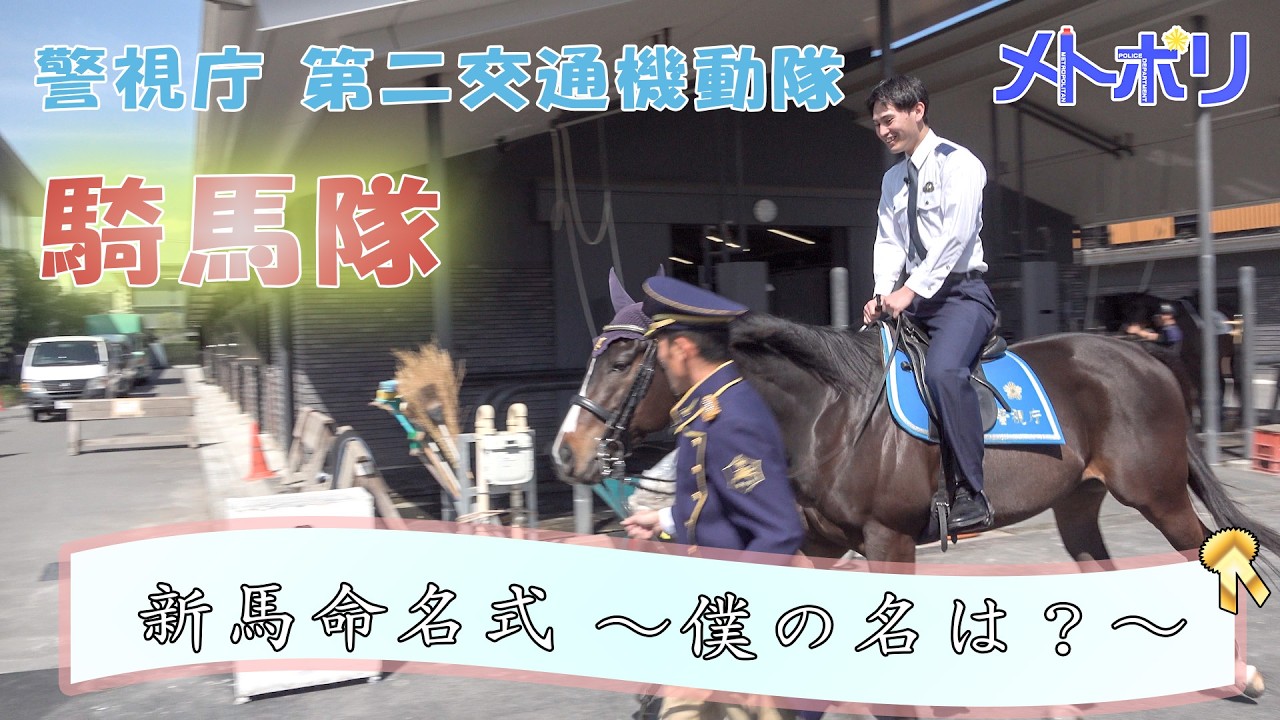 【第二交通機動隊】命名式～新馬の名は？～【メトポリ】