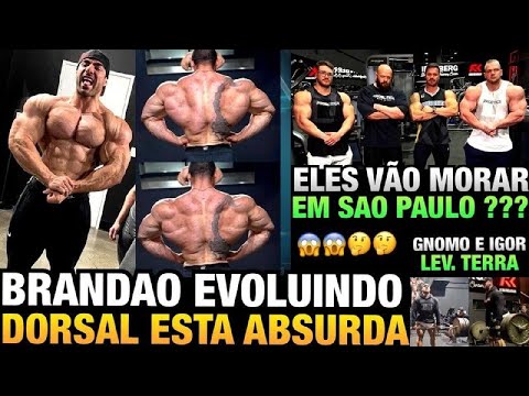 BRANDÃO MOSTRA DORSAL GIGANTE - GNOMO E IGOR MUITO FORTES - ZANCA, PACHO E WILLIAM EM SP ? E MAIS