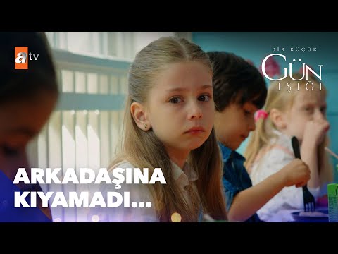 Güneş, arkadaşına kıyamadı... - Bir Küçük Gün Işığı