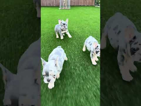 Video 2