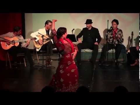 Zambra Flamenca - Tientos