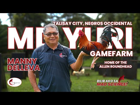 MANNY DELLEVA ALLEN ROUNDHEADS