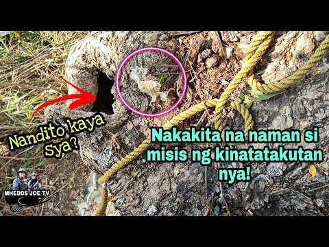HINDI KA KAYA KABAHAN PAG GANITO ANG IYONG MATATANAWAN?/AIRGUN FISHING/MHEDDS JOE TV/VLOG#183