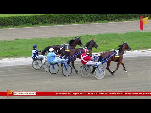 Prova di Qualifica del 14 Giugno 2023 - 2 Anni - Metri 1600