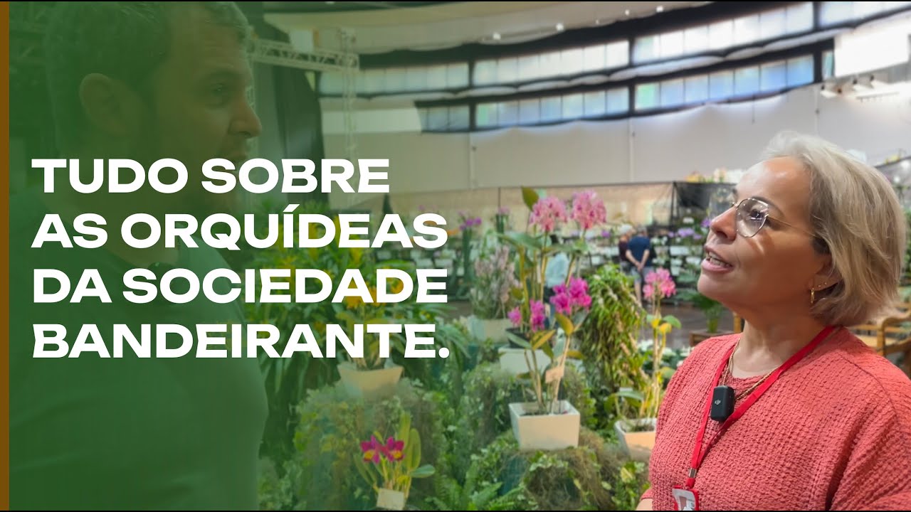 All About Orchids at the Sociedade Bandeirante de Orquídeas (Bandeirante Orchid Society)