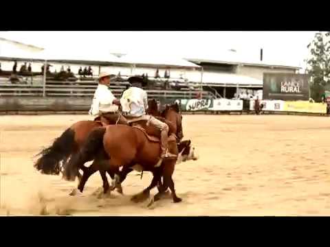 Bocal de Prata Machos 2017 - Feitiço Cavalera