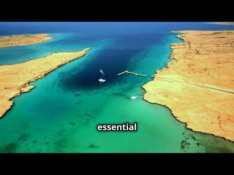 Eritrea 🇪🇷: A Side of Africa the media won't show You.#Eritrea#RedSea#Asmara#Massawa#Nature#Culture