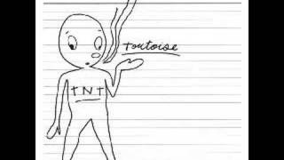 Tortoise - The Suspension Bridge At Iguazu Falls