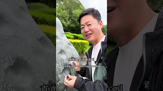 走進有著妙香佛國之稱的大理崇聖寺，去看看寺內的五大重器，一起俯瞰蒼山洱海的壯觀 #交換世界計劃 #大理旅行攻略 #交換旅行新靈感 #崇聖寺三塔 #蒼山洱海