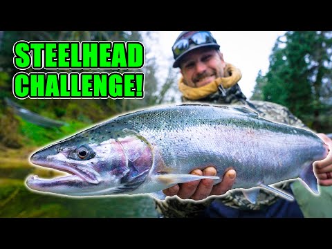 Early Winter Steelhead Fishing… This Was Unexpected (Bonus 2025 Year End Recap) 