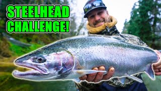 Early Winter Steelhead Fishing… This Was Unexpected (Bonus 2025 Year End Recap)