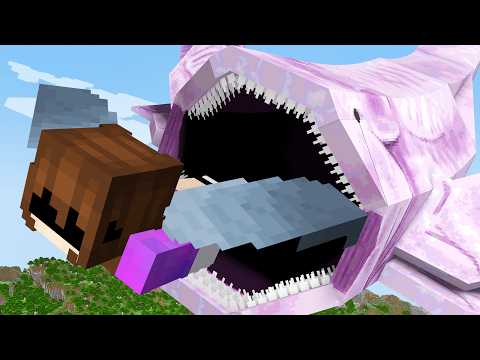 DON'T Look For The Sky Bloop..