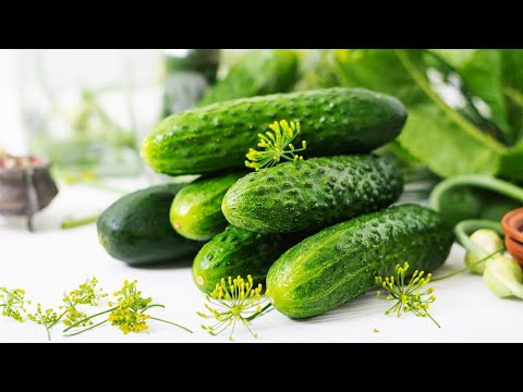 How to Grow Pickling Cucumbers - Grow Cucumbers & Make Your Own Delicious Pickles