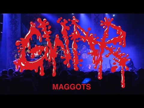 Video thumbnail for Maggots