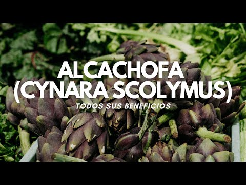 Beneficios de la Alcachofa