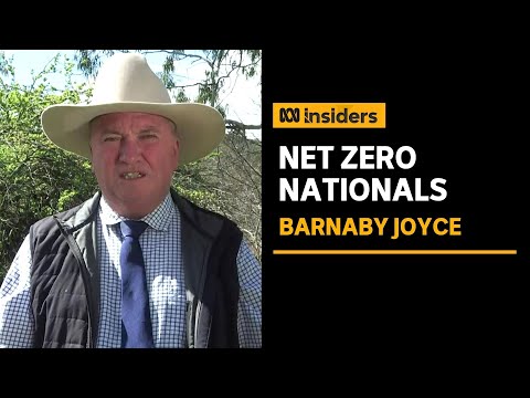 Barnaby Joyce says net zero plans are being discussed by the Nationals | Climate Talks | Insiders