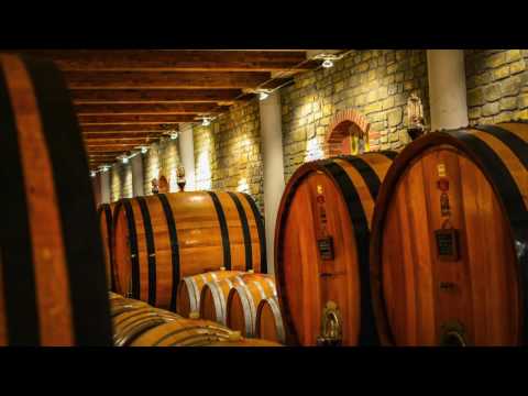 download lagu mp3 mp4 Ca Del Baio Winery, download lagu Ca Del Baio Winery gratis, unduh video klip Ca Del Baio Winery