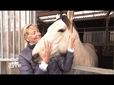 Pferd lässt Reiter nicht aufsteigen – so trainierst du Ruhe beim Aufsitzen | Andrea Kutsch im ZDF