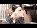 Pferd Lässt Reiter Nicht Aufsteigen So Trainierst Du Ruhe Beim Aufsitzen Andrea Kutsch Im ZDF