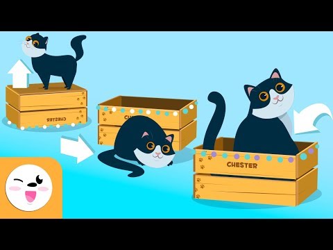 Preposiciones de lugar - Los conceptos espaciales para niños - Posiciones - ¿Dónde está el gato?