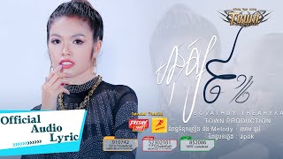 មនុស្ស៩កន្លះ - សុវត្ថិឌី ធារីកា - Sovathdy Thearyka - Official Audio Lyric