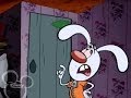 Brandy And Mr Whiskers Esp 50 Better Off Wet