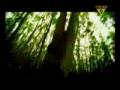 Armin Van Buuren and Tiesto presents Alibi - Eternity (Official Music Video)