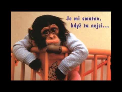 Jaromír Nohavica - Ještě mi scházíš