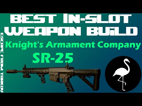 Best In-Slot SR-25 Marksman Rifle (Tarkov 12.10.2)